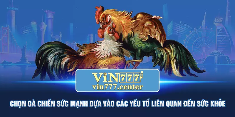 Chọn gà chiến sức mạnh dựa vào các yếu tố liên quan đến sức khỏe