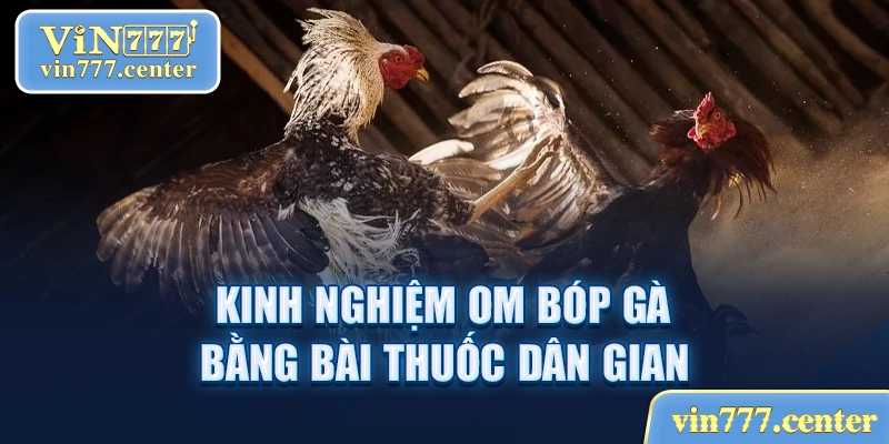 Kinh nghiệm om bóp gà bằng thuốc dân gian