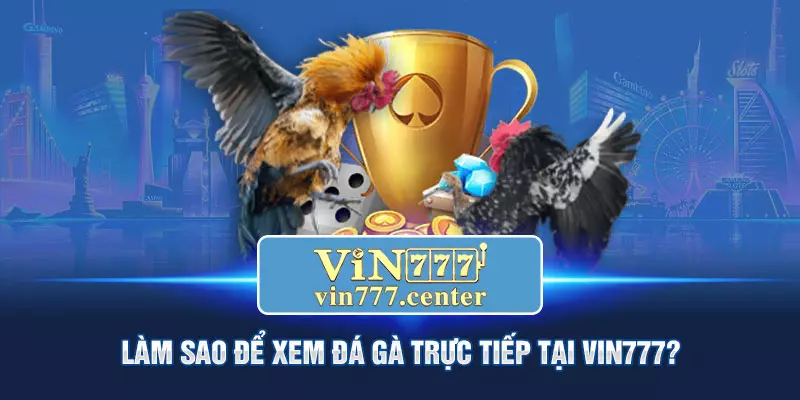 Làm sao để xem đá gà trực tiếp tại VIN777?