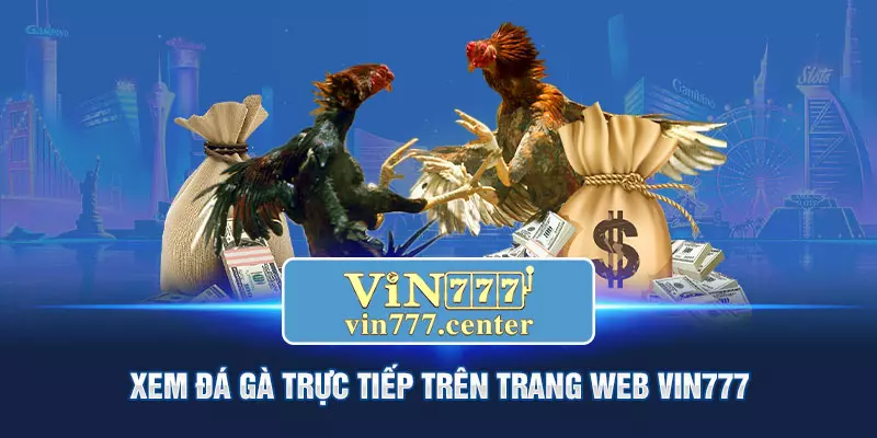 Xem đá gà trực tiếp trên trang Vin777