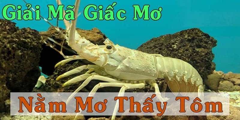 Mơ thấy tôm đánh con gì và điểm báo gì sắp tới?