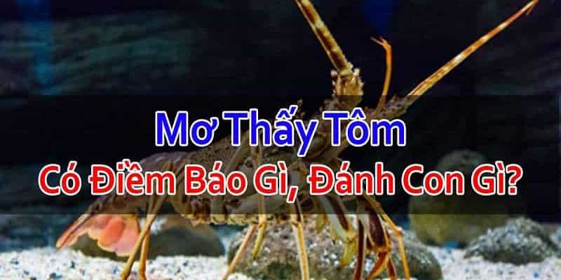 Mơ Thấy Tôm Đánh Con Gì? Hé Lộ Con Số Liên Quan Giúp Bạn Phát Tài