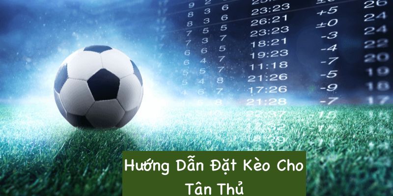 Hướng dẫn anh em tham gia bắt kèo cá độ