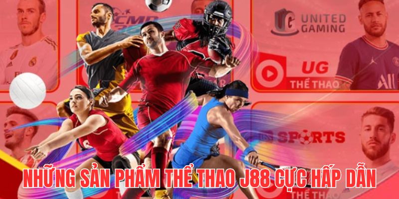 Với hơn 40 bộ môn thể thao trải nghiệm của bạn sẽ không nhàm chán